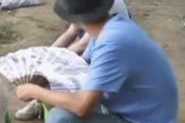 运城工资清欠服务